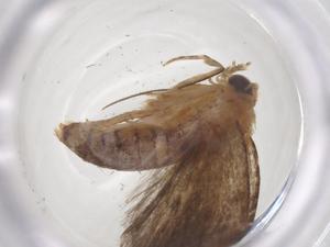  ( - CBG-A68386-H08)  @11 [ ] CreativeCommons - Attribution Share - Alike (2025) Centre for Biodiversity Genomics Centre for Biodiversity Genomics