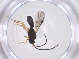  ( - CBG-A68472-F04)  @11 [ ] CreativeCommons - Attribution Share - Alike (2025) Centre for Biodiversity Genomics Centre for Biodiversity Genomics