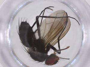  ( - CBG-A68539-D04)  @11 [ ] CreativeCommons - Attribution Share - Alike (2025) Centre for Biodiversity Genomics Centre for Biodiversity Genomics