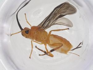  ( - CBG-A69360-F09)  @11 [ ] CreativeCommons - Attribution Share - Alike (2025) Centre for Biodiversity Genomics Centre for Biodiversity Genomics