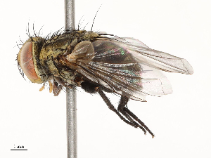  ( - CBG-A69638-C06)  @11 [ ] CreativeCommons - Attribution Share - Alike (2025) CBG Photography Group Centre for Biodiversity Genomics