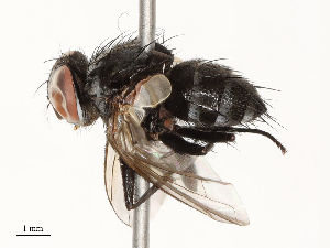  ( - CBG-A69638-H04)  @11 [ ] CreativeCommons - Attribution Share - Alike (2025) CBG Photography Group Centre for Biodiversity Genomics