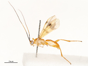  ( - CBG-A72917-E10)  @11 [ ] CreativeCommons - Attribution Share - Alike (2025) CBG Photography Group Centre for Biodiversity Genomics