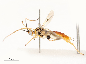  ( - CBG-A72942-D10)  @11 [ ] CreativeCommons - Attribution Share - Alike (2025) CBG Photography Group Centre for Biodiversity Genomics