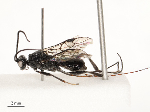  ( - CBG-A72942-F01)  @11 [ ] CreativeCommons - Attribution Share - Alike (2025) CBG Photography Group Centre for Biodiversity Genomics