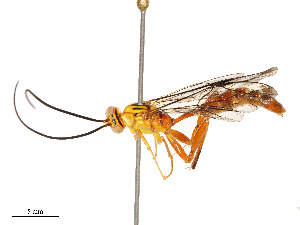 ( - CBG-B12443-D10)  @11 [ ] CreativeCommons - Attribution Share - Alike (2025) CBG Photography Group Centre for Biodiversity Genomics