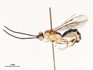  ( - CBG-A67014-D05)  @11 [ ] CreativeCommons - Attribution Share - Alike (2025) CBG Photography Group Centre for Biodiversity Genomics
