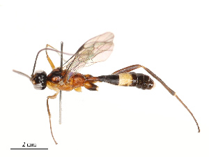  ( - CBG-A67014-D08)  @11 [ ] CreativeCommons - Attribution Share - Alike (2025) CBG Photography Group Centre for Biodiversity Genomics