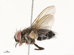  ( - CBG-A67032-C05)  @11 [ ] CreativeCommons - Attribution Share - Alike (2025) CBG Photography Group Centre for Biodiversity Genomics