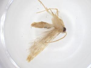  ( - CBG-A67646-F03)  @11 [ ] CreativeCommons - Attribution Share - Alike (2025) Centre for Biodiversity Genomics Centre for Biodiversity Genomics