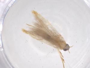  ( - CBG-A67671-B12)  @11 [ ] CreativeCommons - Attribution Share - Alike (2025) Centre for Biodiversity Genomics Centre for Biodiversity Genomics