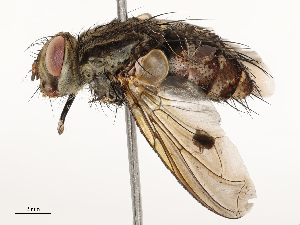  ( - CBG-A67820-C06)  @11 [ ] CreativeCommons - Attribution Share - Alike (2025) CBG Photography Group Centre for Biodiversity Genomics