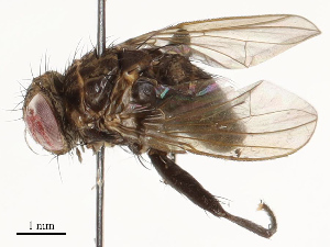  ( - CBG-A67820-E01)  @11 [ ] CreativeCommons - Attribution Share - Alike (2025) CBG Photography Group Centre for Biodiversity Genomics