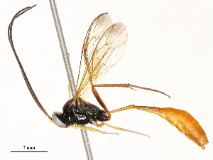  ( - CBG-A67906-F09)  @11 [ ] CreativeCommons - Attribution Share - Alike (2025) CBG Photography Group Centre for Biodiversity Genomics