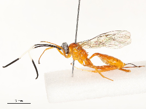  ( - CBG-A67912-G07)  @11 [ ] CreativeCommons - Attribution Share - Alike (2025) CBG Photography Group Centre for Biodiversity Genomics