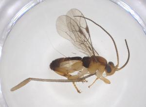  ( - CBG-A68167-F03)  @11 [ ] CreativeCommons - Attribution Share - Alike (2025) Centre for Biodiversity Genomics Centre for Biodiversity Genomics