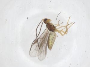  ( - CBG-A68201-C03)  @11 [ ] CreativeCommons - Attribution Share - Alike (2025) Centre for Biodiversity Genomics Centre for Biodiversity Genomics