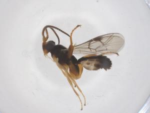  ( - CBG-A68258-C08)  @11 [ ] CreativeCommons - Attribution Share - Alike (2025) Centre for Biodiversity Genomics Centre for Biodiversity Genomics