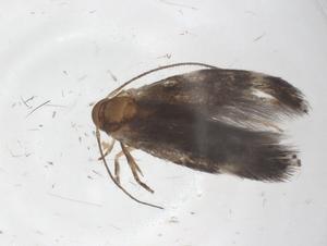  ( - CBG-A68899-A07)  @11 [ ] CreativeCommons - Attribution Share - Alike (2025) Centre for Biodiversity Genomics Centre for Biodiversity Genomics