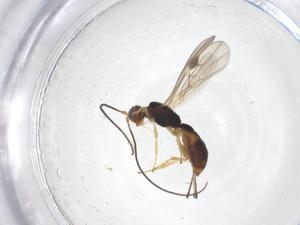  ( - CBG-A69140-H04)  @11 [ ] CreativeCommons - Attribution Share - Alike (2025) Centre for Biodiversity Genomics Centre for Biodiversity Genomics