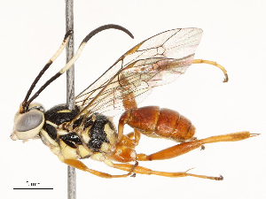  ( - CBG-A67830-H07)  @11 [ ] CreativeCommons - Attribution Share - Alike (2025) CBG Photography Group Centre for Biodiversity Genomics