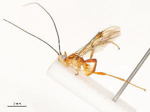  ( - CBG-A67869-F04)  @11 [ ] CreativeCommons - Attribution Share - Alike (2025) CBG Photography Group Centre for Biodiversity Genomics