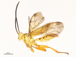  ( - CBG-A67873-B09)  @11 [ ] CreativeCommons - Attribution Share - Alike (2025) CBG Photography Group Centre for Biodiversity Genomics