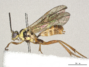  ( - CBG-A67874-G05)  @11 [ ] CreativeCommons - Attribution Share - Alike (2025) CBG Photography Group Centre for Biodiversity Genomics