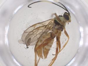  ( - CBG-A69214-B04)  @11 [ ] CreativeCommons - Attribution Share - Alike (2025) Centre for Biodiversity Genomics Centre for Biodiversity Genomics