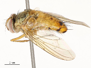  ( - CBG-A69578-C12)  @11 [ ] CreativeCommons - Attribution Share - Alike (2025) CBG Photography Group Centre for Biodiversity Genomics