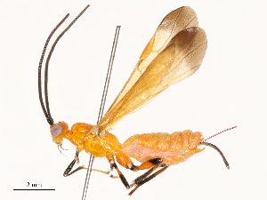  ( - CBG-A69613-C10)  @11 [ ] CreativeCommons - Attribution Share - Alike (2025) CBG Photography Group Centre for Biodiversity Genomics