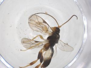  ( - CBG-A69646-G05)  @11 [ ] CreativeCommons - Attribution Share - Alike (2025) Centre for Biodiversity Genomics Centre for Biodiversity Genomics