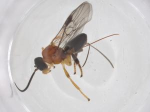  ( - CBG-A69667-B09)  @11 [ ] CreativeCommons - Attribution Share - Alike (2025) Centre for Biodiversity Genomics Centre for Biodiversity Genomics