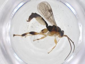  ( - CBG-A69937-E02)  @11 [ ] CreativeCommons - Attribution Share - Alike (2025) Centre for Biodiversity Genomics Centre for Biodiversity Genomics