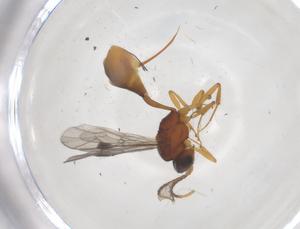  ( - CBG-A69940-F02)  @11 [ ] CreativeCommons - Attribution Share - Alike (2025) Centre for Biodiversity Genomics Centre for Biodiversity Genomics