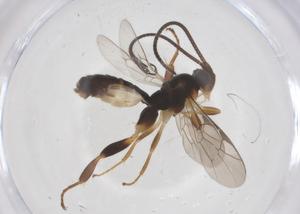  ( - CBG-A70063-B05)  @11 [ ] CreativeCommons - Attribution Share - Alike (2025) Centre for Biodiversity Genomics Centre for Biodiversity Genomics