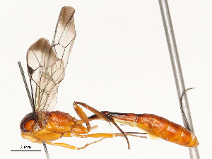  ( - CBG-A67872-G03)  @11 [ ] CreativeCommons - Attribution Share - Alike (2025) CBG Photography Group Centre for Biodiversity Genomics