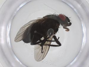  ( - CBG-A69401-C05)  @11 [ ] CreativeCommons - Attribution Share - Alike (2025) Centre for Biodiversity Genomics Centre for Biodiversity Genomics