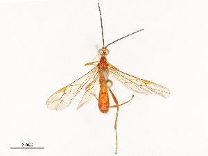  ( - CBG-A69622-A09)  @11 [ ] CreativeCommons - Attribution Share - Alike (2025) CBG Photography Group Centre for Biodiversity Genomics