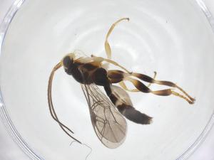  ( - CBG-A69737-E12)  @11 [ ] CreativeCommons - Attribution Share - Alike (2025) Centre for Biodiversity Genomics Centre for Biodiversity Genomics