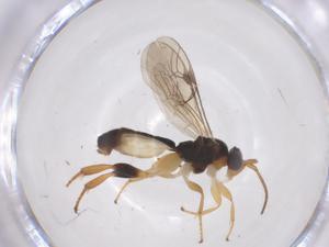  ( - CBG-A69887-E08)  @11 [ ] CreativeCommons - Attribution Share - Alike (2025) Centre for Biodiversity Genomics Centre for Biodiversity Genomics