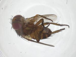  ( - CBG-B12401-H10)  @11 [ ] CreativeCommons - Attribution Share - Alike (2025) Centre for Biodiversity Genomics Centre for Biodiversity Genomics