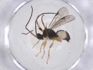  ( - CBG-B12410-G07)  @11 [ ] CreativeCommons - Attribution Share - Alike (2025) Centre for Biodiversity Genomics Centre for Biodiversity Genomics