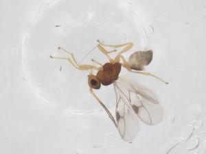  ( - CBG-B12417-C08)  @11 [ ] CreativeCommons - Attribution Share - Alike (2025) Centre for Biodiversity Genomics Centre for Biodiversity Genomics