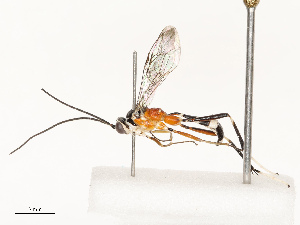  ( - CBG-B12660-B08)  @11 [ ] CreativeCommons - Attribution Share - Alike (2025) CBG Photography Group Centre for Biodiversity Genomics