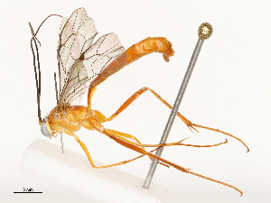  ( - CBG-B12661-E08)  @11 [ ] CreativeCommons - Attribution Share - Alike (2025) CBG Photography Group Centre for Biodiversity Genomics