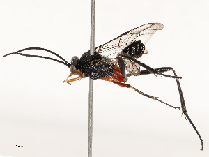  ( - CBG-B12674-B04)  @11 [ ] CreativeCommons - Attribution Share - Alike (2025) CBG Photography Group Centre for Biodiversity Genomics