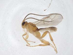  ( - CBG-B12750-F09)  @11 [ ] CreativeCommons - Attribution Share - Alike (2025) Centre for Biodiversity Genomics Centre for Biodiversity Genomics