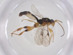  ( - CBG-B12755-B05)  @11 [ ] CreativeCommons - Attribution Share - Alike (2025) Centre for Biodiversity Genomics Centre for Biodiversity Genomics