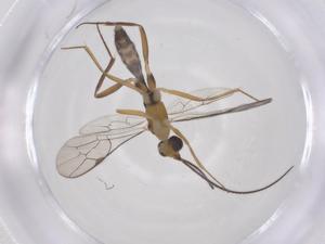  ( - CBG-B12755-C08)  @11 [ ] CreativeCommons - Attribution Share - Alike (2025) Centre for Biodiversity Genomics Centre for Biodiversity Genomics